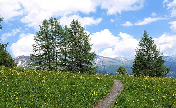 istock Alps mountains (Grossglockner, Austria) 471870178