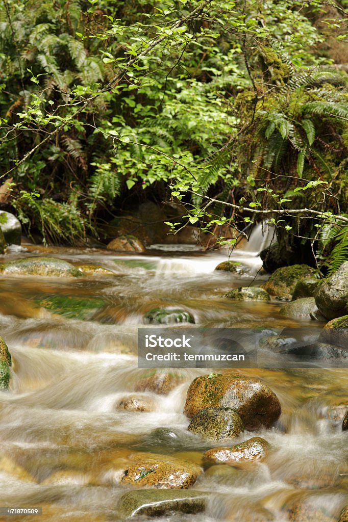 Creek - Lizenzfrei Bach Stock-Foto