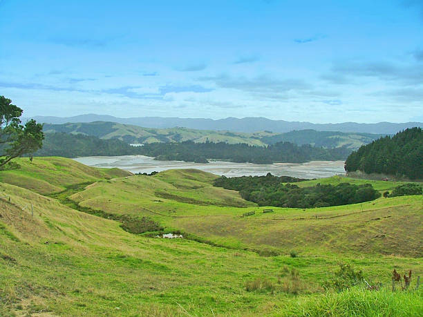 istock New Zealand Countryside 471870767