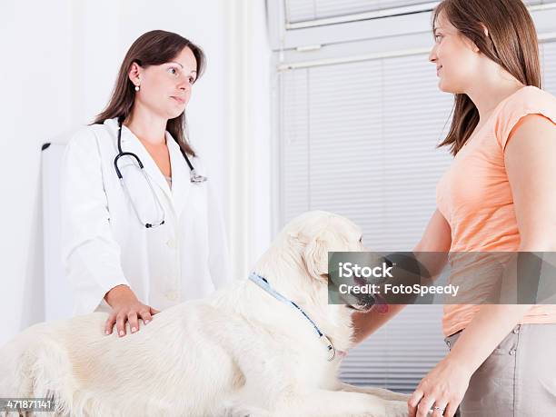 Foto de Cão Em Veterano e mais fotos de stock de Adulto - Adulto, Amizade, Animal