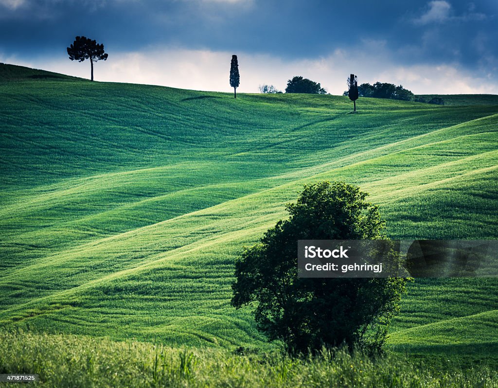 Tarde soleada de Toscana - Foto de stock de Aire libre libre de derechos