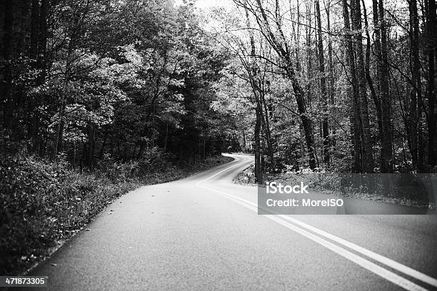 Strada Di Campagna Nella Foresta - Fotografie stock e altre immagini di Bianco e nero - Bianco e nero, Grandi Montagne Fumose, Parco Nazionale Great Smoky Mountains