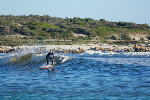 female surfer surfs down a small gentle wave in scarborough, cape town