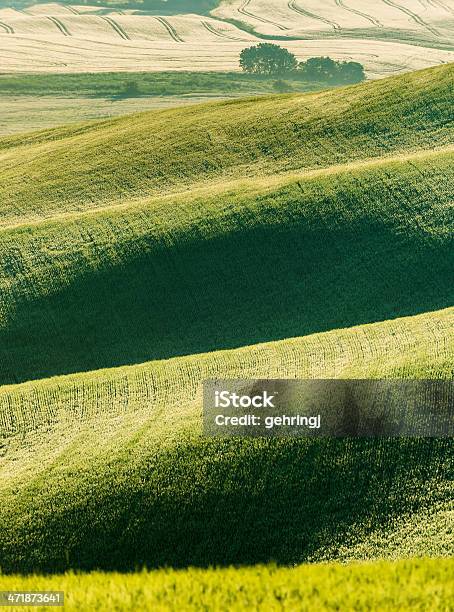 Typische Landschaft Der Toskana Stockfoto und mehr Bilder von Abenddämmerung - Abenddämmerung, Agrarbetrieb, Anhöhe