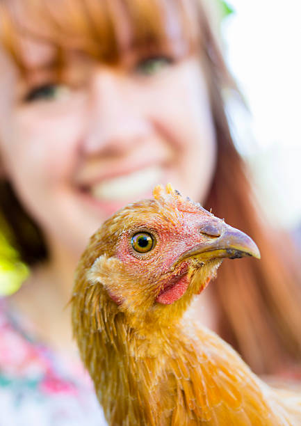 istock Chicken with Young Woman 471873687