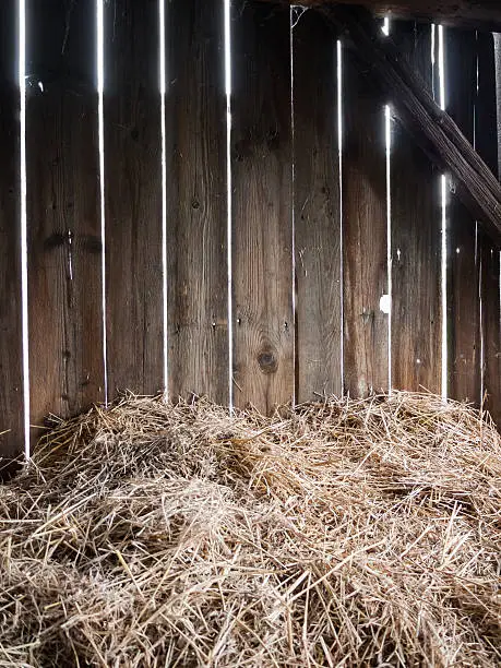Straw in the old barn with timber wall