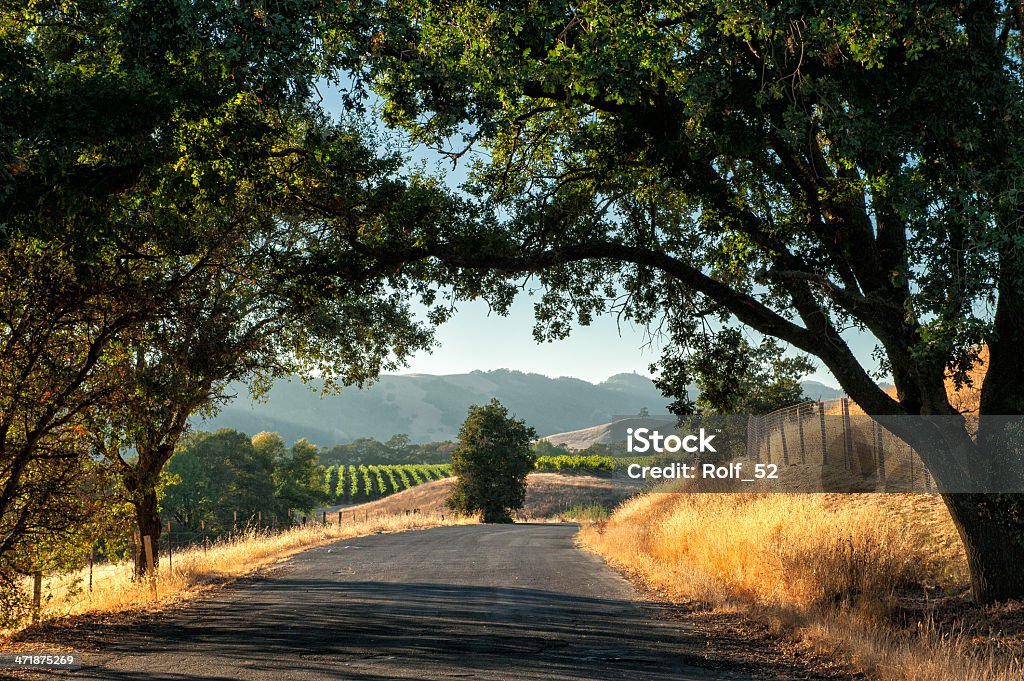 Sonoma wine country Road trip through Sonoma wine country at harvest time  California Stock Photo