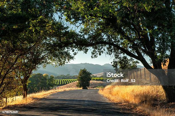 Sonoma Wine Country Stock Photo - Download Image Now - California, Sonoma County, Sonoma