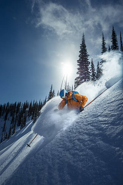 Skier in deep powder snow and trees in the background