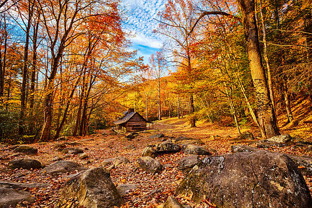 capanna nella foresta - great smoky mountains gatlinburg great smoky mountains national park appalachian mountains foto e immagini stock