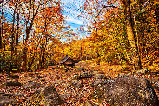 Cabin in the Forest Cabin in the Great Smoky Mountains National Park during Fall. great smoky mountains stock pictures, royalty-free photos & images