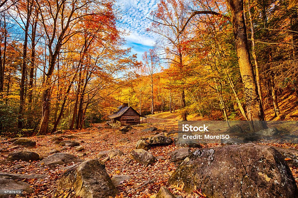Kabina w lesie - Zbiór zdjęć royalty-free (Park Narodowy Great Smoky Mountains)