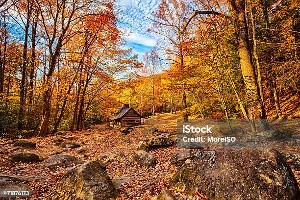 Kabina W Lesie - zdjęcia stockowe i więcej obrazów Park Narodowy Great Smoky Mountains - Park Narodowy Great Smoky Mountains, Jesień, Góry Great Smoky