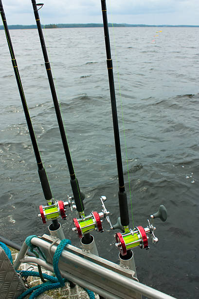 istock fishing spinning on the lake 471876441