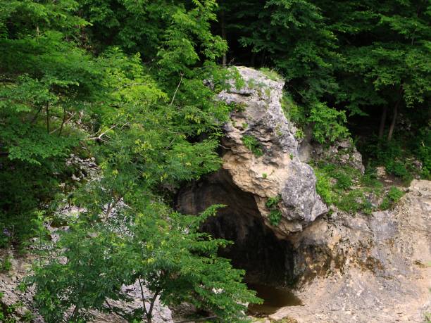 istock The mountain river in the gorge. 471876522