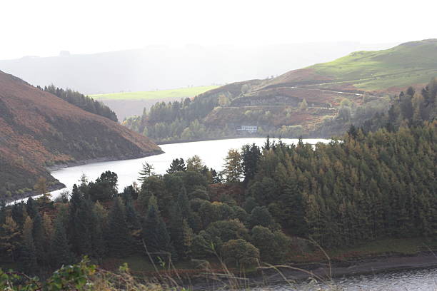 istock View of Llyn Clywedog On A Grey Day 471876742
