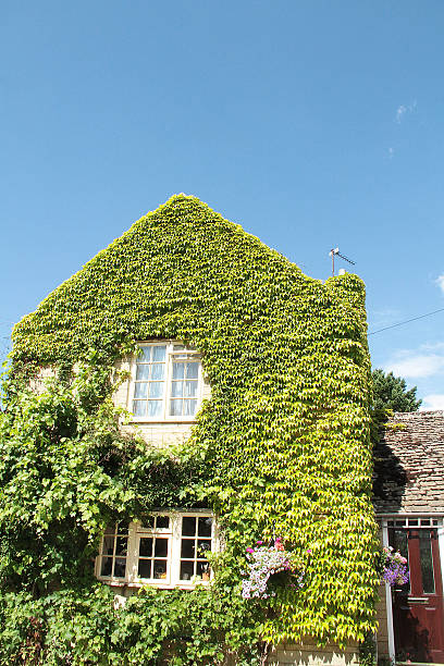 istock Green House in Lechlade, Gloucestershire 471877031