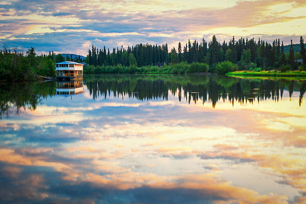 fairbanks paisagem - forest tundra imagens e fotografias de stock