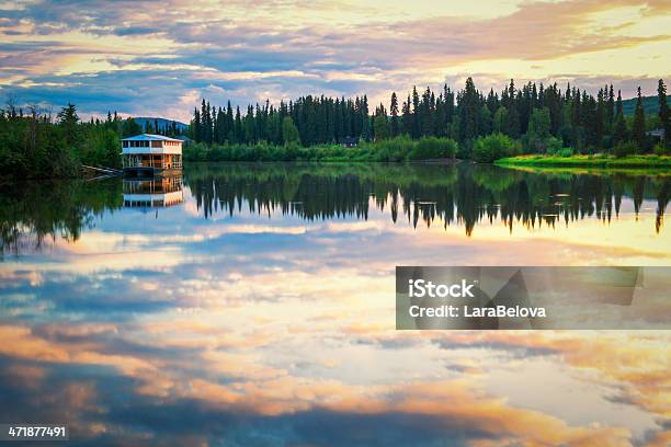 Foto de Fairbanks Paisagem e mais fotos de stock de Fairbanks - Fairbanks, Alasca - Estado dos EUA, Verão