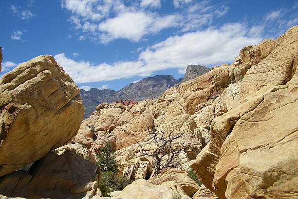 Canyon View View from hiking trail at Red Rock Canyon, with boulders, burnt tree, and mountains. jtmcdaniel stock pictures, royalty-free photos & images