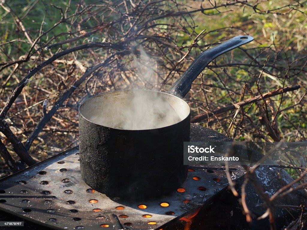 casserole with potatoes on the fire Animals In The Wild Stock Photo
