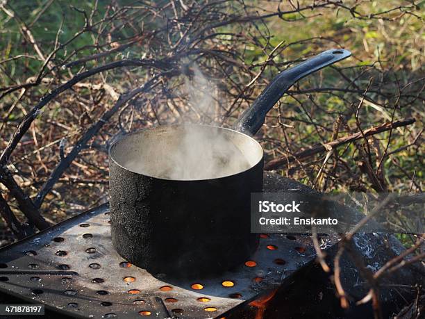 Casserole With Potatoes On The Fire Stock Photo - Download Image Now - Animals In The Wild, Beauty, Campfire