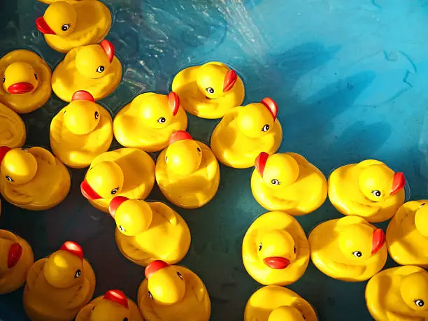 rubber ducks in a children's pool