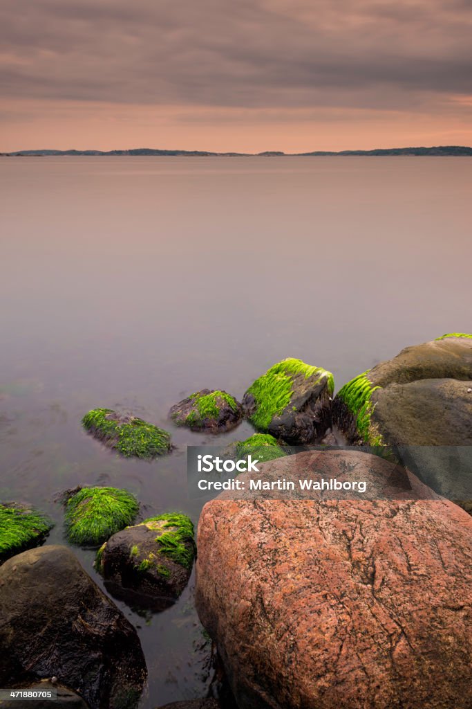 Evening at Swedish west coast Swedish west coast. Just south of Gothenburg. Algae Stock Photo