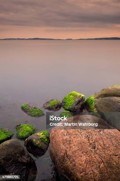 Evening At Swedish West Coast Stock Photo - Download Image Now - Algae, Blurred Motion, Bohuslan