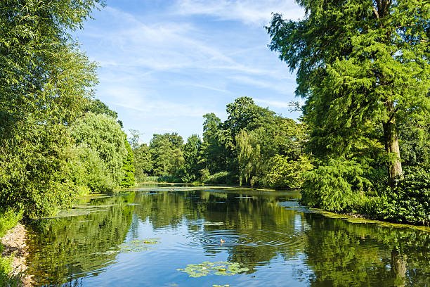 istock Tranquil Pond Framed by Lush Green Woodland Park 471881133