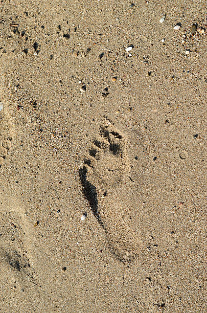 istock footprint in the sand 471881235