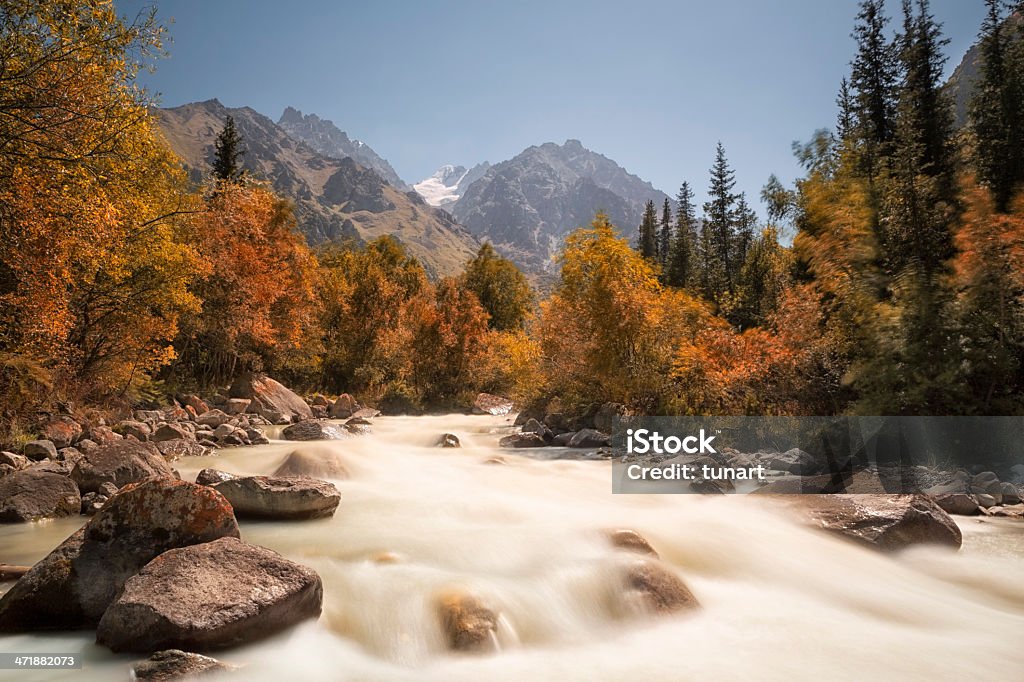 Ala Archa National Park, Kyrgyzstan The Ala Archa National Park is an alpine national park in the Tian Shan mountains of Kyrgyzstan, established in 1976 and located approximately 40 km south of the capital city of Bishkek. Bishkek Stock Photo