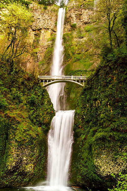 istock Scenic Multnomah Falls in Oregon 471882644