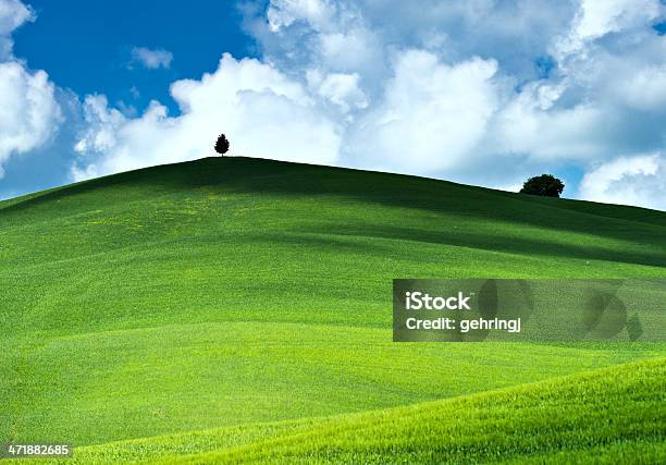 Paisagem Típica Da Toscana - Fotografias de stock e mais imagens de Agricultura - Agricultura, Ajardinado, Anoitecer