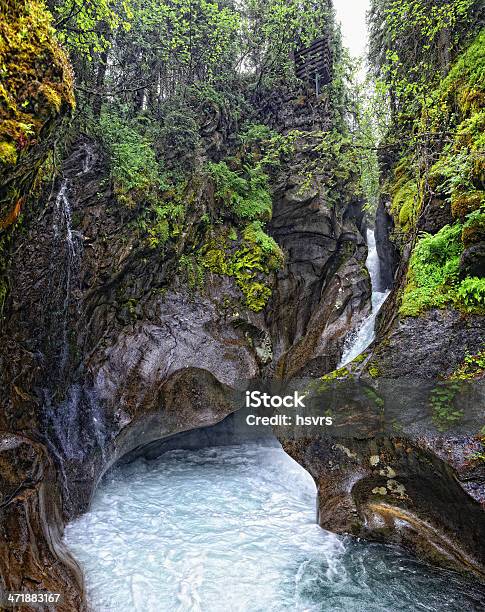 Photo libre de droit de Paysage De Rivière banque d'images et plus d'images libres de droit de Alpes européennes - Alpes européennes, Arbre, Autriche