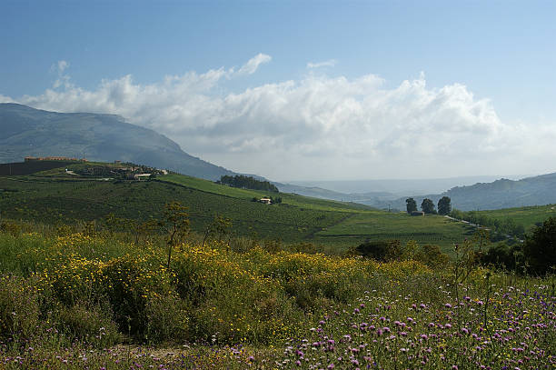 istock mountain valley - landscape, island Sicily, Italy 471884853