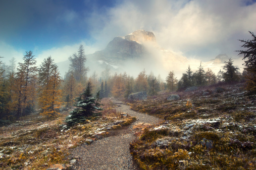 Autumn overtakes the mountains in this misty mountain scene.  Banff National Park, Canada.