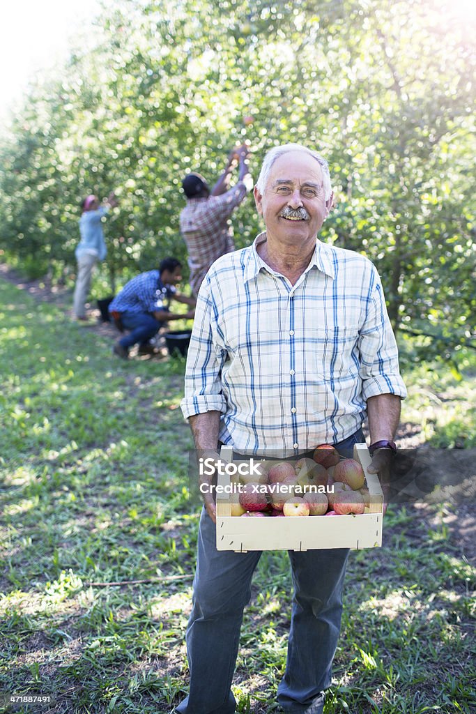 Stolze alter Mann in seinem Garten - Lizenzfrei 70-79 Jahre Stock-Foto