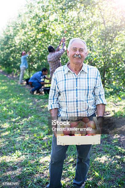 Stolze Alter Mann In Seinem Garten Stockfoto und mehr Bilder von 70-79 Jahre - 70-79 Jahre, Agrarbetrieb, Agrarland