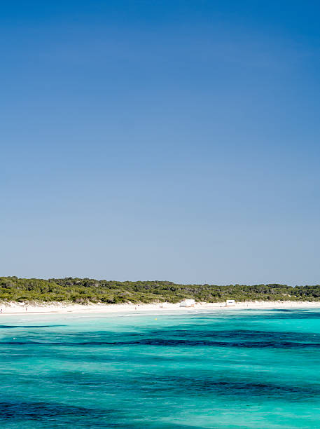 A picture from Es Trenc, the best natural beach in Mallorca, Balearic Islands - Spain