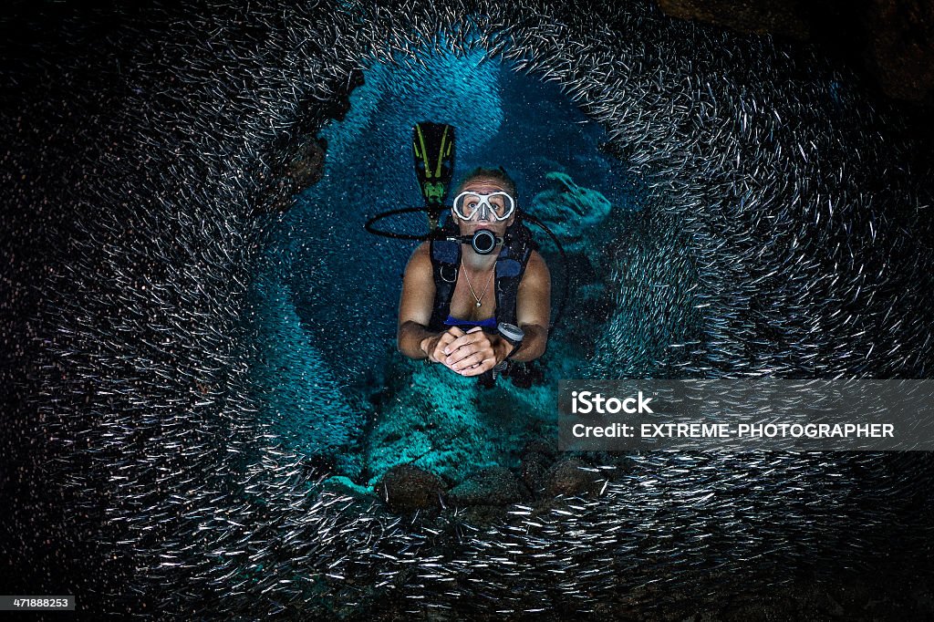 Modulo di pesce - Foto stock royalty-free di Acqua