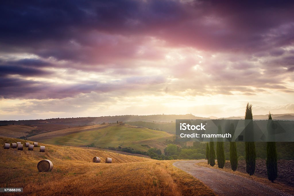 Verão de manhã na Toscana - Royalty-free Cipreste Italiano Foto de stock