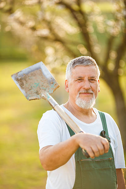 istock Senior gardener in his garden 471888442
