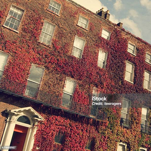 Ivy Coperto Edificio In Stile Georgiano Di Dublino - Fotografie stock e altre immagini di Dublino - Irlanda - Dublino - Irlanda, Quadrato - Composizione, Georgiano