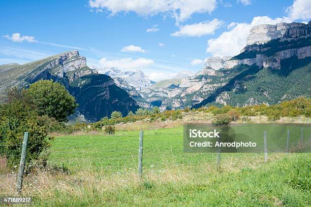 Foto de Com Muro e mais fotos de stock de Agricultura - Agricultura, Aragão, Arame farpado - Arame