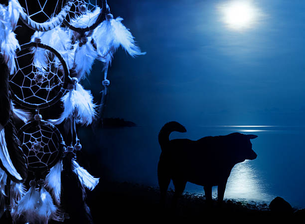 dreamcatcher detail with wolf in night