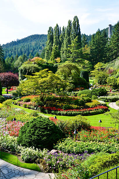 jardins de butchart - buchart gardens photos et images de collection