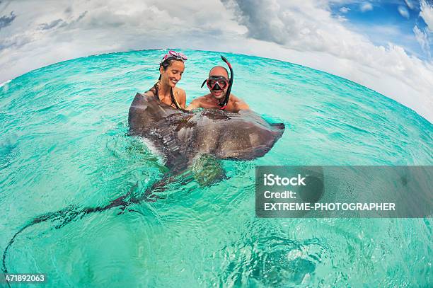 Photo libre de droit de Look Mais Ne Pas Contact banque d'images et plus d'images libres de droit de Himantura - Poisson - Himantura - Poisson, Apnée, Au fond de l'océan