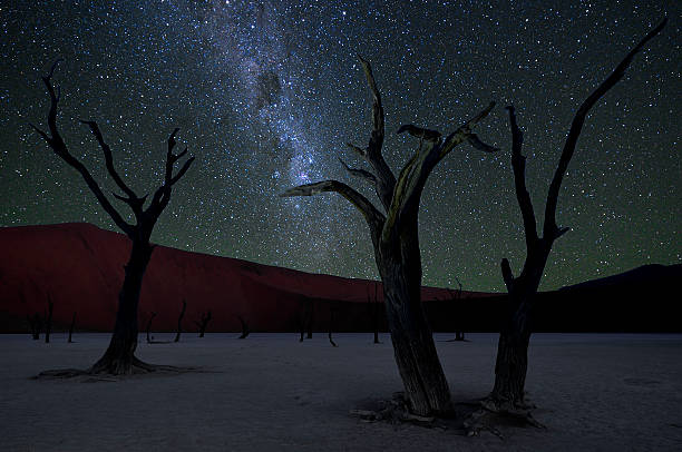 istock Dead Vlei and Milky Way 471893771