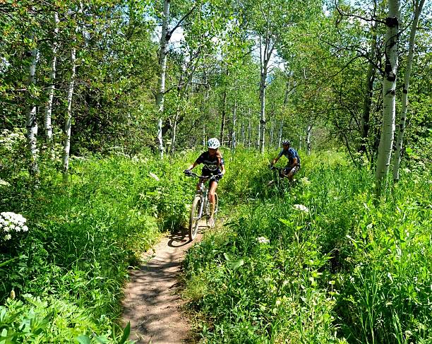 Father-Daughter Mountain Bike Ride A father and daughter mountain bike through the Aspen trees in the Colorado Rocky Mountains. steamboat springs photos stock pictures, royalty-free photos & images